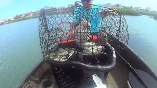 Catching Jumbo Blue Crabs in Murrells Inlet South Carolina [upl. by Adaner]