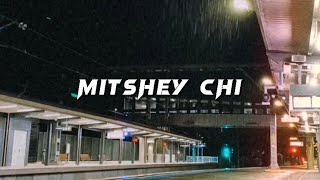 Mitshey Chi  Dechen Yangzom Dema prod Samphela Mixed amp Mastered by Namslayermusic [upl. by Stuppy107]