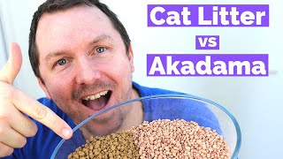 Bonsai Soil Cat Litter Vs Akadama [upl. by Dich]