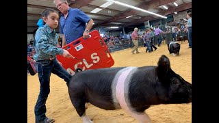 Somerset FFA 2020 Atascosa Livestock Show Market Hog Day [upl. by Devona]