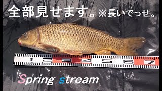 【Stalking Carp Fishing in JP】ライトカープゲーム、まるっと見せます！注意：長いです。 [upl. by Daniyal592]