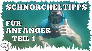 10 Schnorcheltipps für Anfänger  Teil 1  Schnorcheln lernen [upl. by Krock]