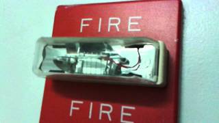 Sound Effect  Fire Alarm [upl. by Helbonia]