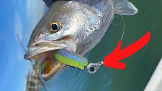 Speckled Trout Tutorial  How To catch Fish Every Cast [upl. by Lizzy580]