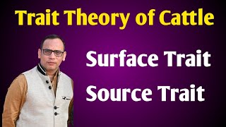 Trait Theory of Cattle l Cattle Personality Theory l Surface Trait l Source Trait by Dr Vivek [upl. by Trembly195]