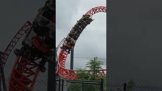 Would You Try the Spinning Seat  Steel Taipan at Dreamworld [upl. by Nesila]