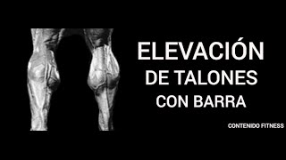 Elevación de talones con barra  Gemelo Standing Calf Raises [upl. by Kaitlin58]