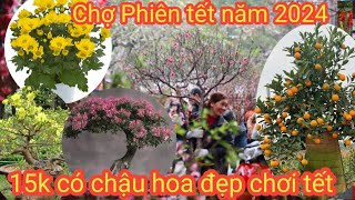 Chợ phiên tết hà nội năm 2024  chặt cứng người đi chợ phiên mua hoa tết [upl. by Solnit]