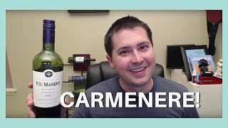 Viu Manent Carmenere Wine Review [upl. by Lundell]