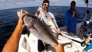 Offshore Crystal River Amberjack Red Snapper Grouper [upl. by Bagley394]