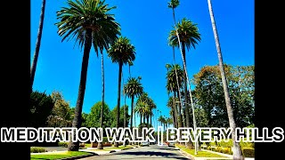 Walk through Beverly Hills Famous Palm TreeLined Streets [upl. by Allyson796]