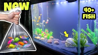 HOW TO CREATE A PERFECT AQUARIUM THE FIRST TIME YOU TRY [upl. by Ojeillib430]