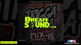 Trigga Happy Sound  Trigga Digga Mix 45 Mix 2018 Ft Bounty Killer Terry Ganzie Pinchers [upl. by Riess233]