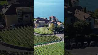 Lavaux Vineyard Terraces in Switzerland [upl. by Elery]