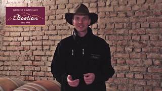 Online Weinprobe Weingut Bastian Die Idee [upl. by Ile]