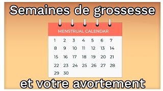 Les semaines de grossesse gestation et vos options davortement  Ami explique lavortement [upl. by Thorndike722]