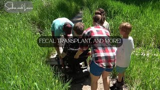 Fecal Transplant New Puppy and More [upl. by Elehcor]