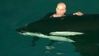 Caught on tape Whale nearly drowns SeaWorld trainer [upl. by Athey]