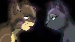 WOTF Bluestars Prophecy AMV  Gravity of Love [upl. by Eizle442]