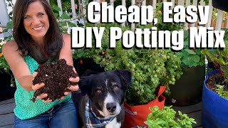 How to Make DIY Easy Cheap Organic Potting Soil with 4 Ingredients Container Garden Series 2 [upl. by Nylleoj]