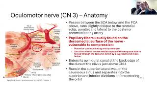 Lecture Review of Cranial Nerves 3 4 and 6 [upl. by Nylcsoj]