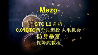 Mezo BTC L2 Pantera领投2100W 潜在大毛 建议002BTC起投 保姆式教程 天花板 参与方式 BTC L2现状及战术建议 [upl. by Trawets195]