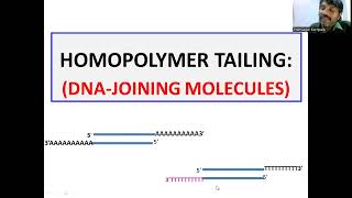 Homopolymer tailing DNA Joining Molecules [upl. by Irol]