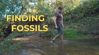 Finding Fossils [upl. by Elda]