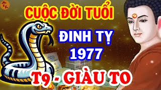 Tử Vi Đinh Tỵ 1977 Đón Mưa Vàng Bão Bạc Đổi Đời Giàu Có Phát Tài Tháng 9 ÂL [upl. by Milks760]