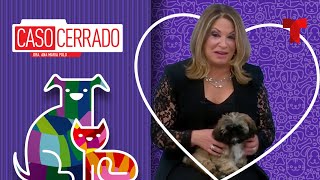 Maltratadora De Animales🐶😡👊 Caso Cerrado  Telemundo [upl. by Annaek]