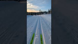 XC skiing in Norway  Sjusjoen [upl. by Neo]