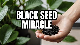 5 Evidencebased BENEFITS of Black Seed [upl. by Adym]