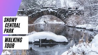 Walking Tour of Central Park Winter Manhattan New York City [upl. by Wiltshire265]