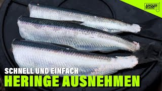 Heringe ausnehmen  schnell und einfach  Anglerboard TV [upl. by Mcgaw]