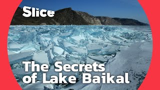 Lake Baikal A biological treasure trove  SLICE [upl. by Keldon733]