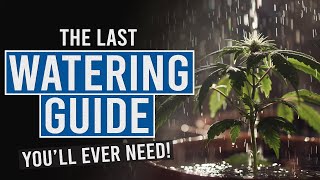 Thirsty Plants Learn the Secrets to Perfect Cannabis Watering [upl. by Ellierim]