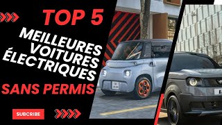 Top 5 des meilleures voitures électriques sans permis à acheter à 2024 [upl. by Nerat]