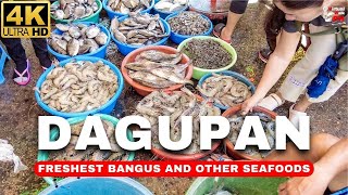 4K DAGUPANS MOST FAMOUS FISH MARKET  Magsaysay Fish Market amp Town Proper Virtual Tour 2024 [upl. by Yeldarb]