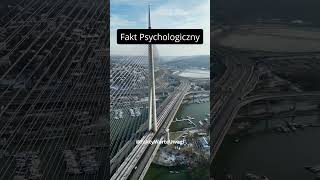 Fakty z psychologii shorts psychologyfacts faktypsychologiczne fyp viral subskrybuj [upl. by Luann87]