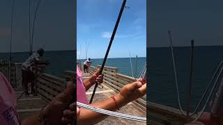 Catching a Pier GIANT and Eating it 🎣 [upl. by Teevens]