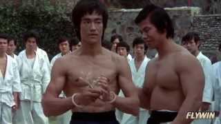 BRUCE LEE 2013 TRIBUTE  40 Years Youve Been Gone And Yet You Remain by FlyWinMedia [upl. by Gillett]