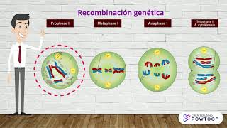 Teoría Sintética de la Evolución [upl. by Walczak307]