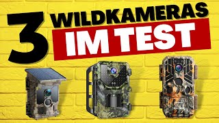 Die BESTEN Wildkameras 2024  TESTSIEGER im Vergleich [upl. by Eddi]