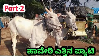 Part 2 Haveri Bulls Market  ಹಾವೇರಿ ಎತ್ತಿನ ಪ್ಯಾಟಿ  ಭಾಗ 2  ಪ್ರತಿ ಗುರುವಾರ ಬೆಳಿಗ್ಗೆ [upl. by Grewitz]