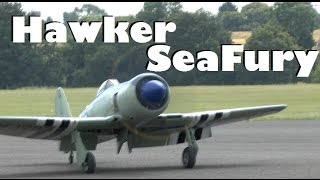 GIANT SCALE RC HAWKER SEA FURY MOKI RADIAL COSFORD LMA MODEL SHOW 2014 [upl. by Norse91]