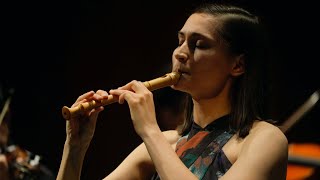 Sammartini Concerto in F for recorder and strings  Orquesta de Córdoba  Sophia Schambeck [upl. by Eilama]