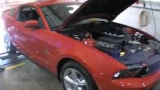 2011 ProCharged 50 Mustang Dyno Runsmov [upl. by Anaid]