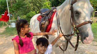 Horse Riding in Islamabad Playland Park [upl. by Swarts368]