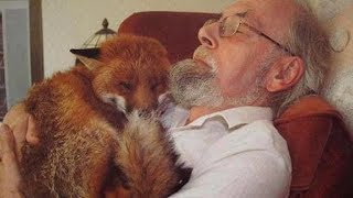 Man Saved Seriously Injured Fox And Found His New Best Friend [upl. by Verger]