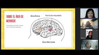 Los 4 lóbulos del Cerebro Lóbulo frontal parietal temporal y occipital [upl. by Emilio]